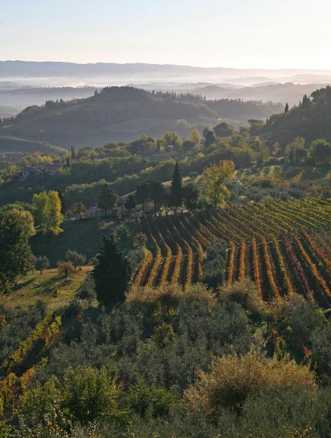 Agroturismo Agriturismo&winery Il Bacio Tavarnelle Val di Pesa