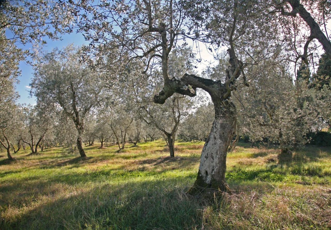 Agriturismo&winery Il Bacio * Tavarnelle Val di Pesa