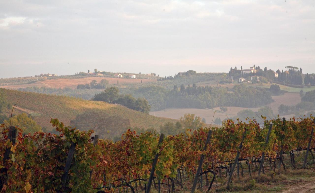 Agriturismo&winery Il Bacio *