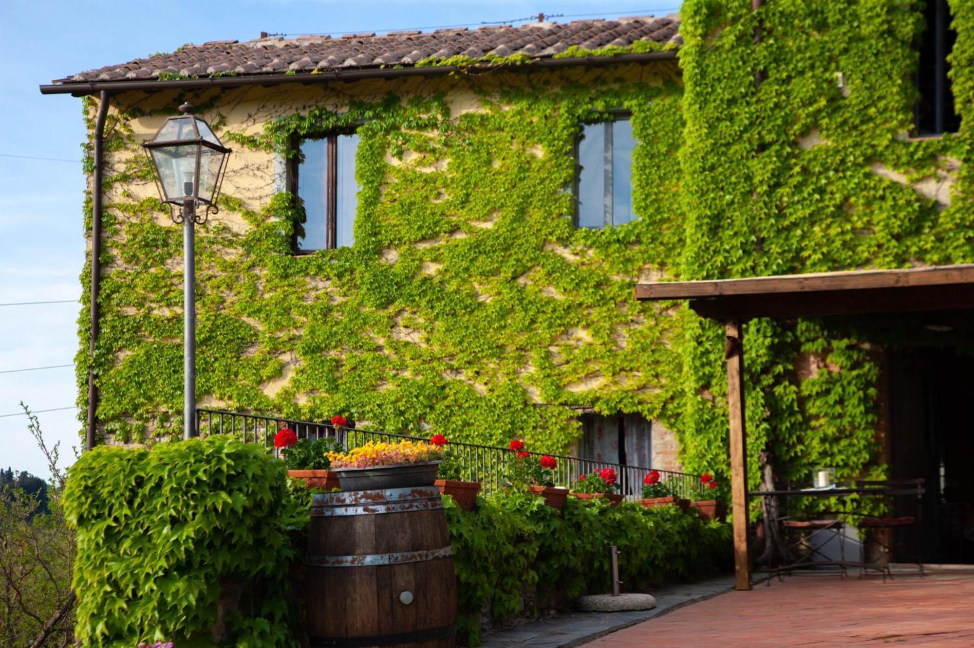 Agriturismo&winery Il Bacio * Tavarnelle Val di Pesa