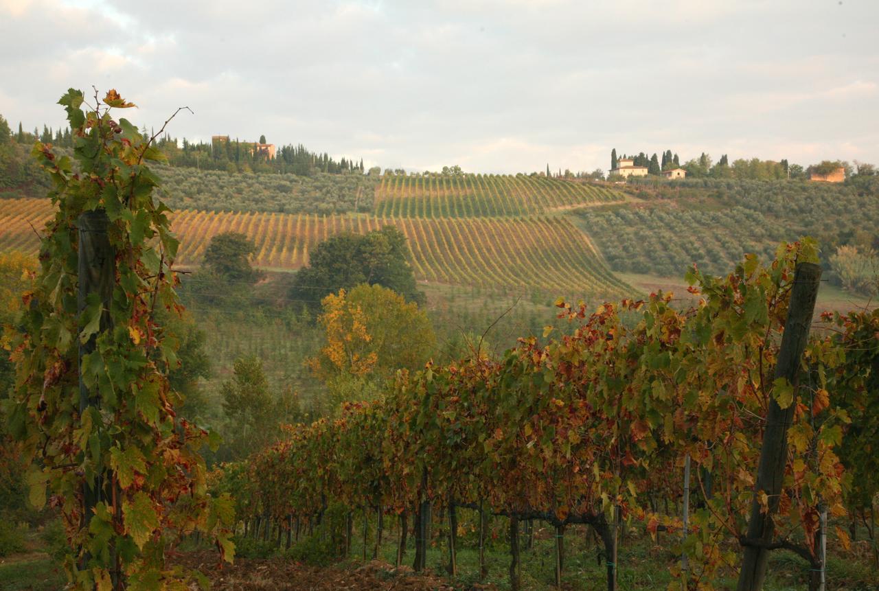 Agriturismo&winery Il Bacio * Tavarnelle Val di Pesa